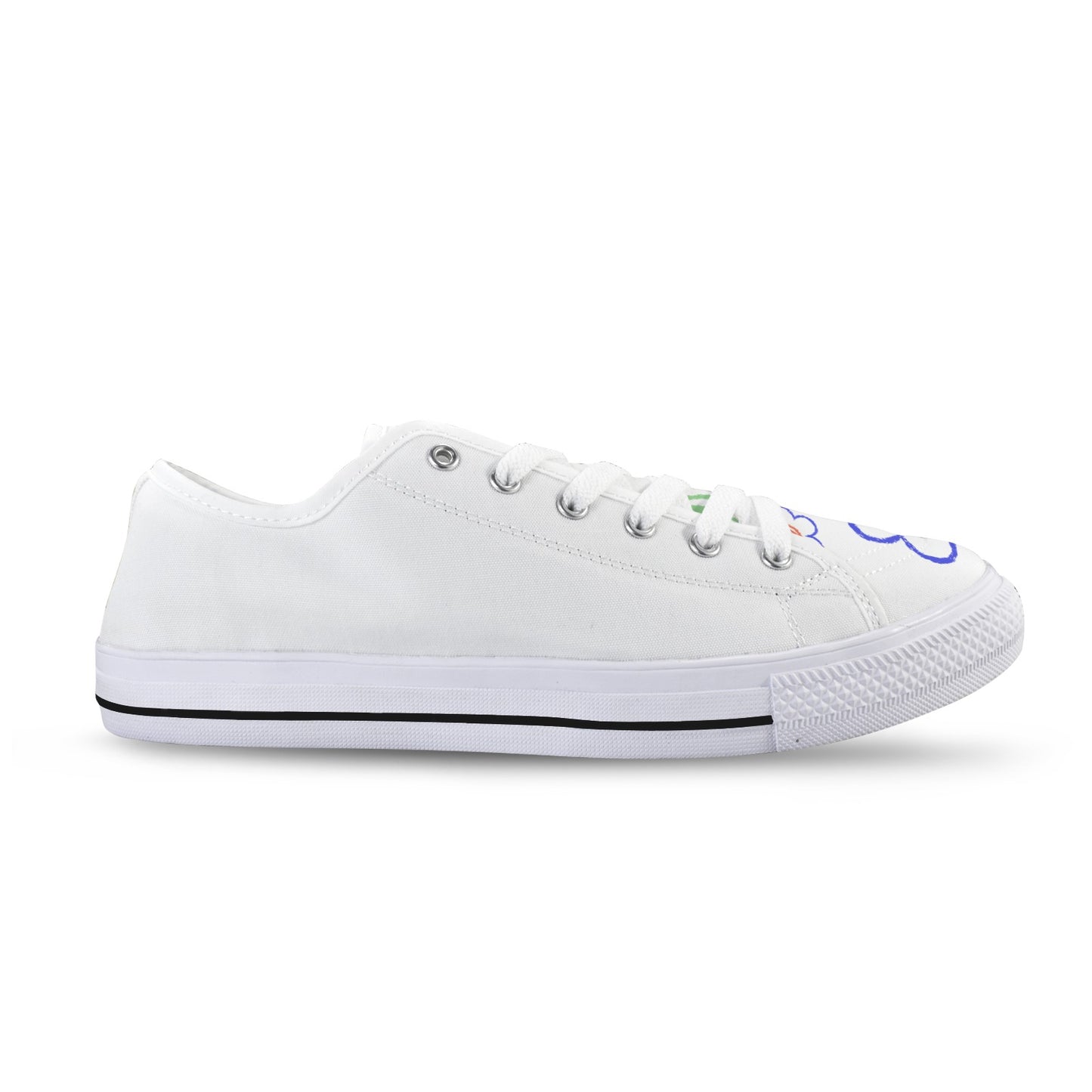 Whimsical Hummingbird & Flower Seattle Low Top Women's Shoes